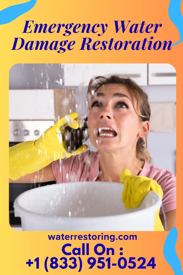 Emergency Water Damage Restoration in Mammoth Spring, AR